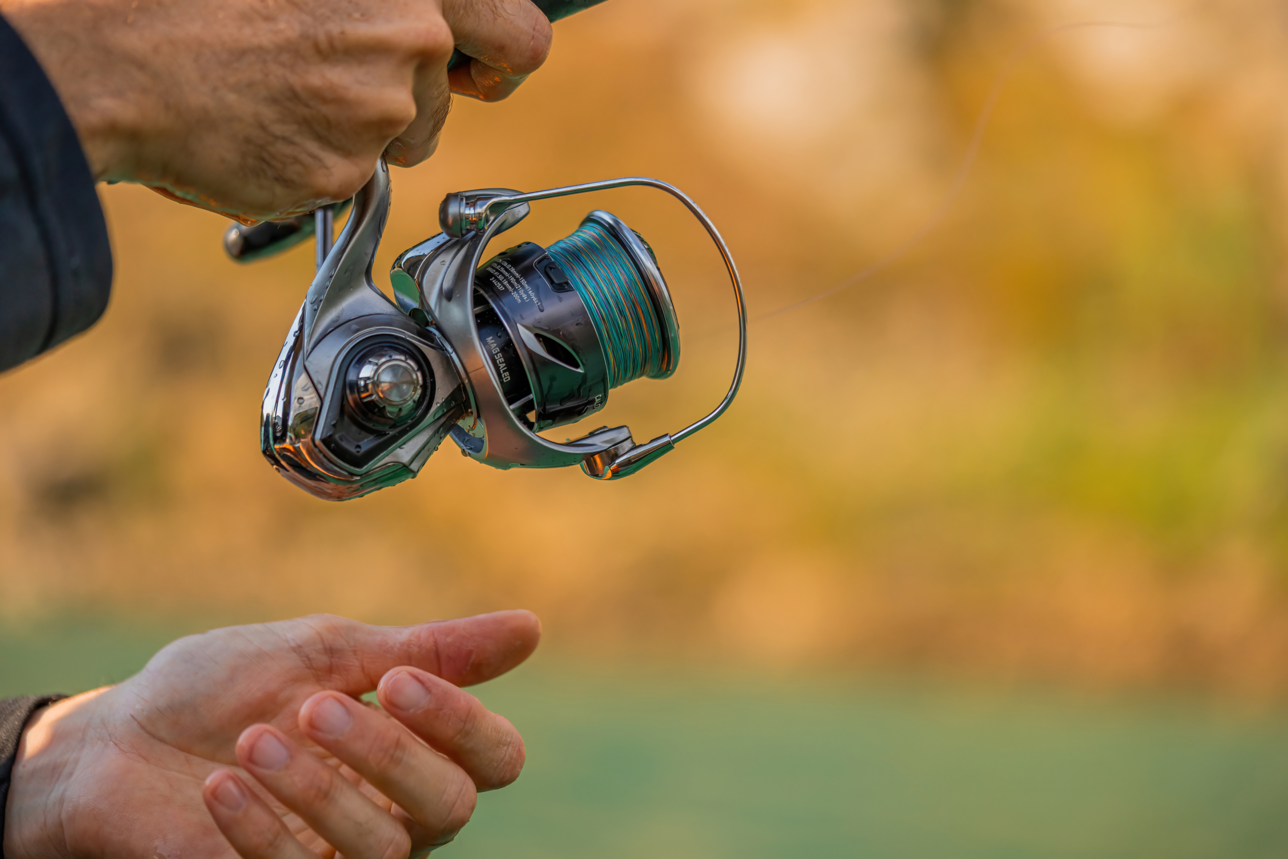 25 CALDIA - Daiwa Italy - Spinning reels for fishing